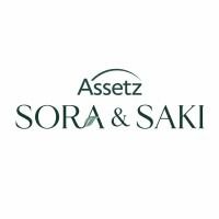 assetzsorasaki